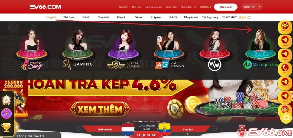 Hướng dẫn chơi cá cược tại sảnh Microgaming SV66